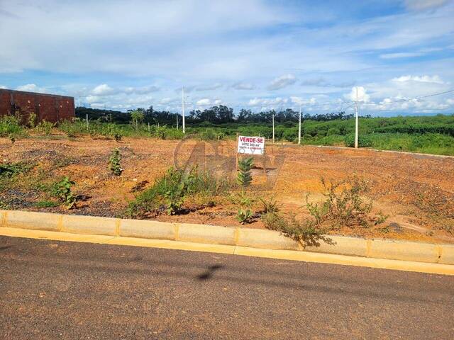 #4503 - Repasse de Financiamento para Venda em Montes Claros - MG - 1
