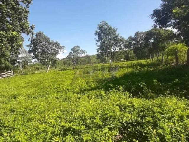 #4533 - Fazenda para Venda em Montes Claros - MG - 3