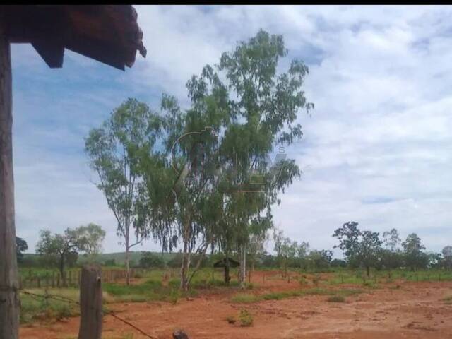 #4546 - Fazenda para Venda em Montes Claros - MG - 2