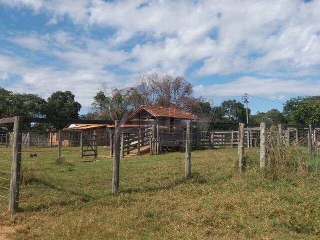 #4574 - Fazenda para Venda em Montes Claros - MG - 3