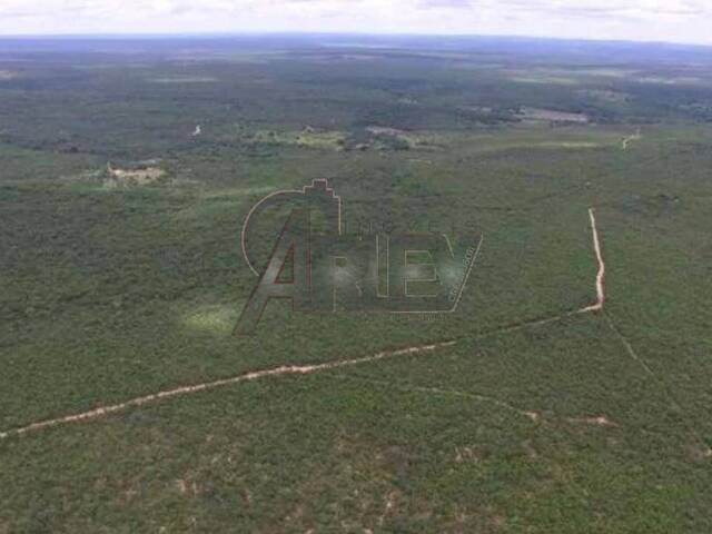 #4597 - Fazenda para Venda em Montes Claros - MG - 2
