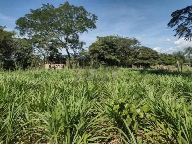 #4613 - Fazenda para Venda em Montes Claros - MG - 1