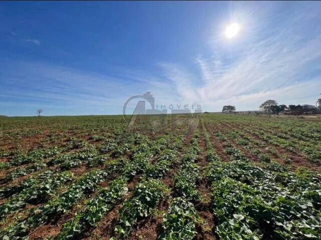 #4627 - Fazenda para Venda em Montes Claros - MG - 1