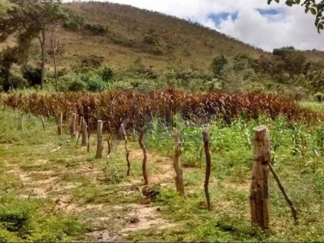 #4645 - Fazenda para Venda em Montes Claros - MG - 1