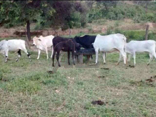 #4645 - Chácara para Venda em Montes Claros - MG - 2