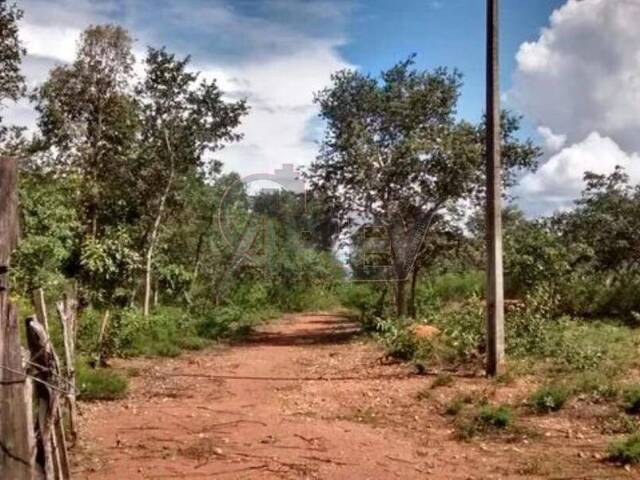 #4645 - Fazenda para Venda em Montes Claros - MG - 3