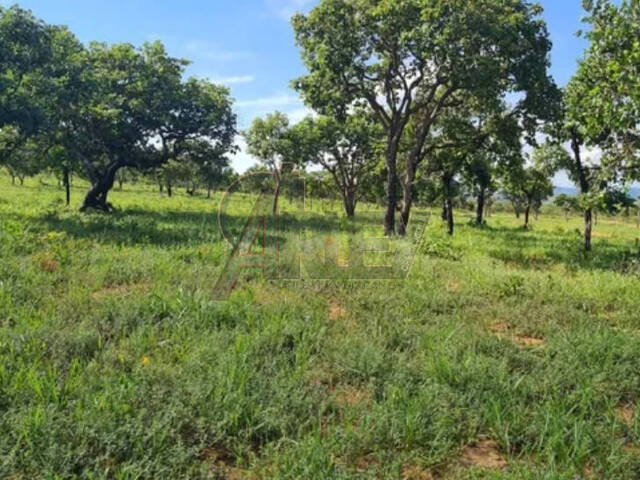 #4675 - Fazenda para Venda em Montes Claros - MG - 1