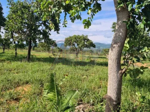 #4675 - Chácara para Venda em Montes Claros - MG - 2