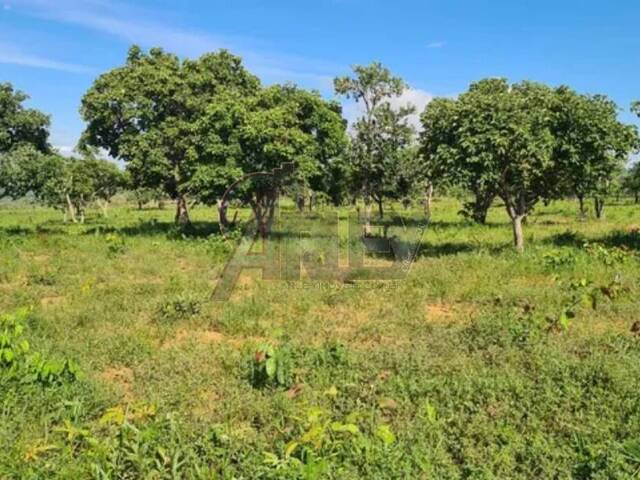 #4675 - Fazenda para Venda em Montes Claros - MG - 3