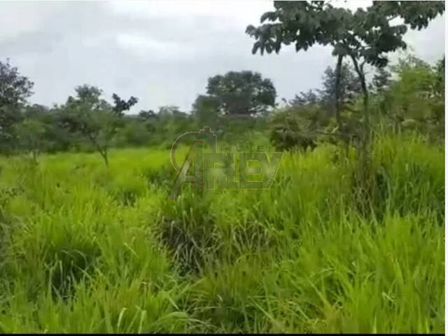 #4682 - Fazenda para Venda em Montes Claros - MG - 1