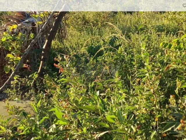 #4682 - Fazenda para Venda em Montes Claros - MG - 2