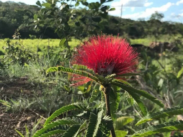 #4705 - Sítio para Venda em Montes Claros - MG - 1