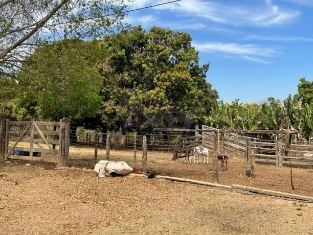 #4719 - Fazenda para Venda em Montes Claros - MG - 3