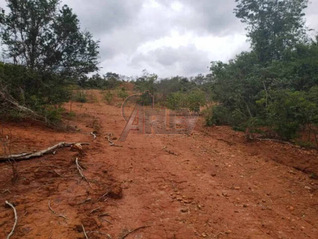 IMÓVEIS RURAIS para Venda em Montes Claros - 5