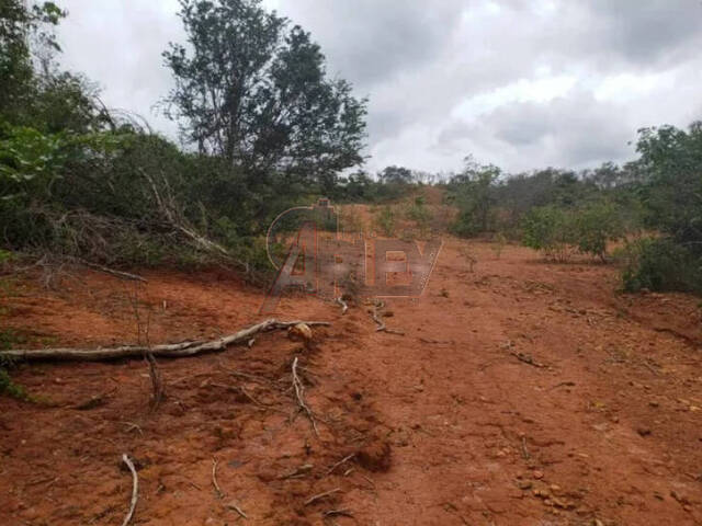 IMÓVEIS RURAIS para Venda em Montes Claros - 4