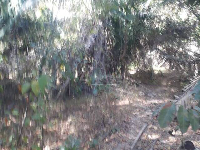 IMÓVEIS RURAIS para Venda em Montes Claros - 4