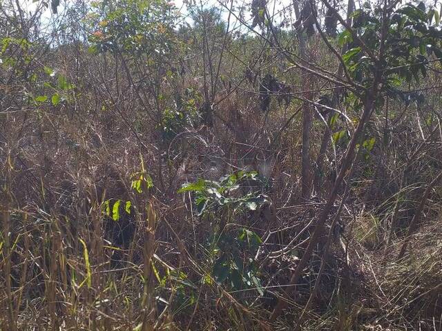 #4748 - Chácara para Venda em Montes Claros - MG