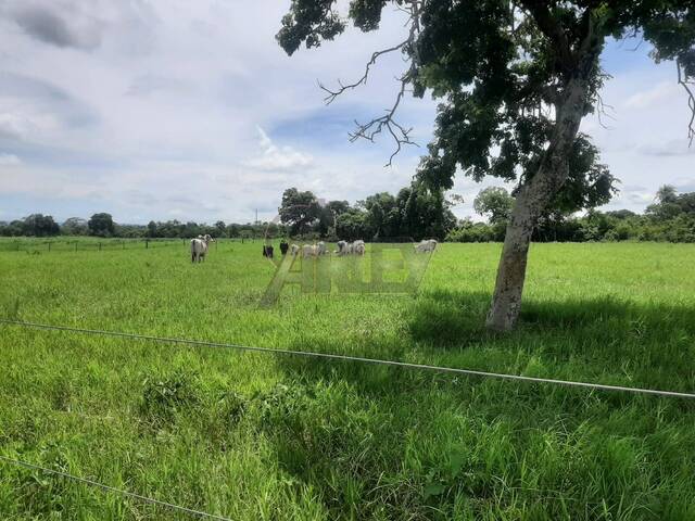 #4767 - Chácara para Venda em Montes Claros - MG - 3