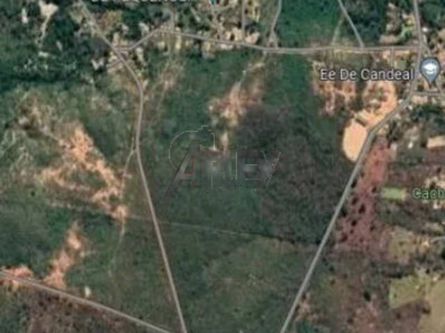 #4786 - Fazenda para Venda em Montes Claros - MG - 3