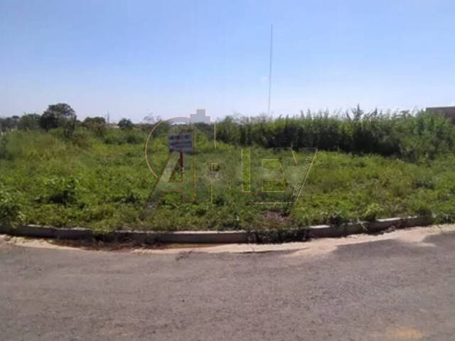 Venda em Monte Belo - Montes Claros