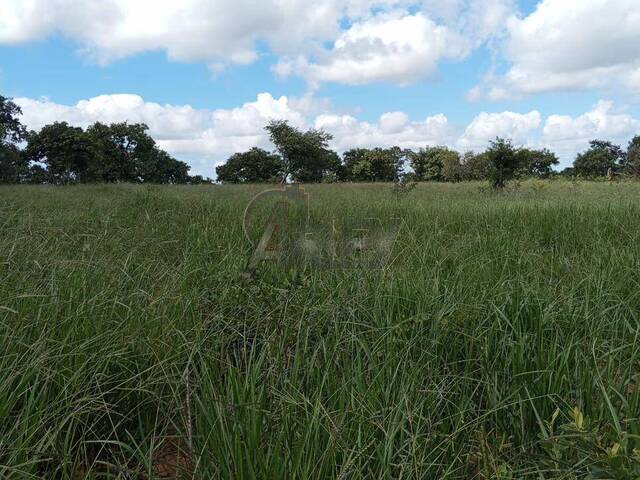 #4881 - Chácara para Venda em Montes Claros - MG - 1