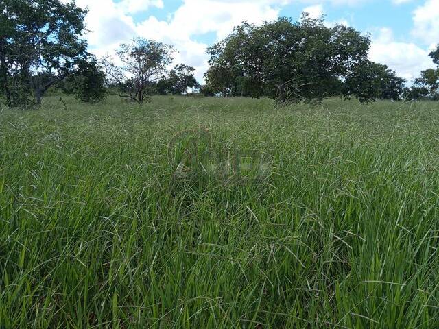 #4881 - Fazenda para Venda em Montes Claros - MG - 3