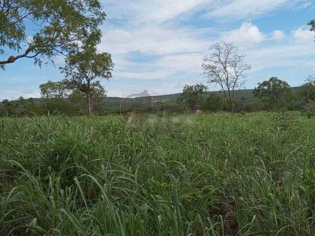 #4882 - Fazenda para Venda em Montes Claros - MG - 1