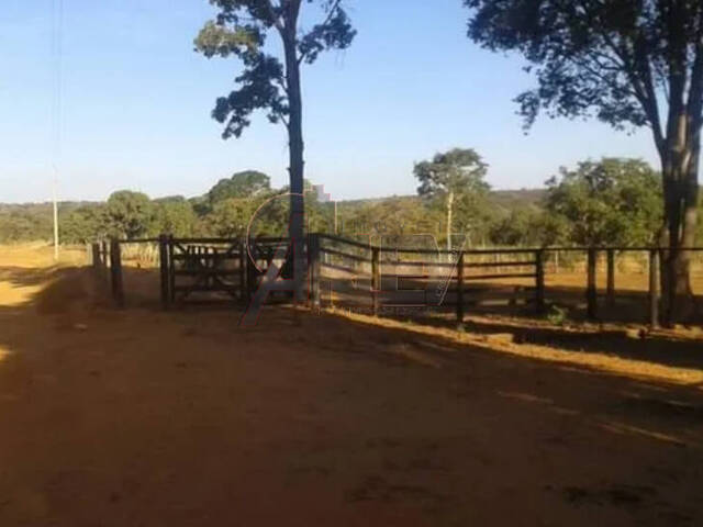#4925 - Fazenda para Venda em Montes Claros - MG - 2