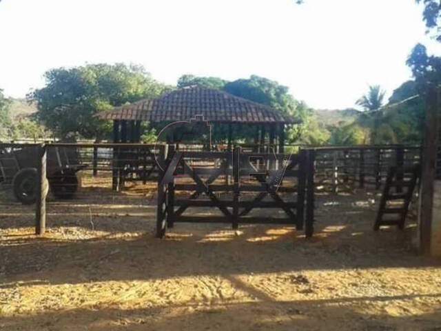#4925 - Fazenda para Venda em Montes Claros - MG - 3