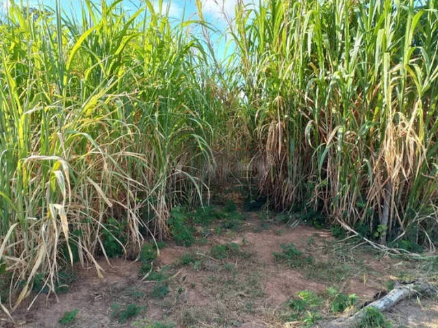 IMÓVEIS RURAIS para Venda em Montes Claros - 4