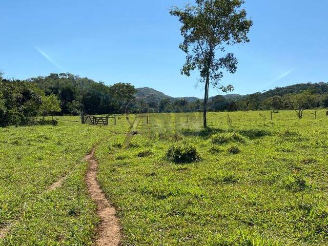 #5231 - Fazenda para Venda em Montes Claros - MG - 1