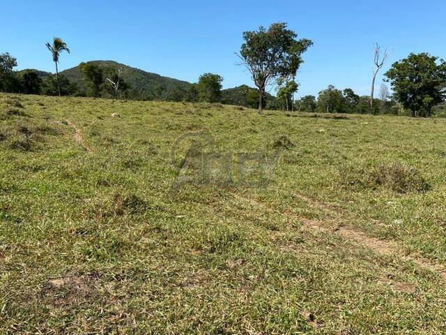 #5231 - Fazenda para Venda em Montes Claros - MG - 3