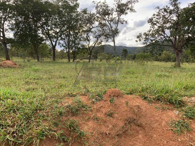 #5231 - Fazenda para Venda em Montes Claros - MG - 2