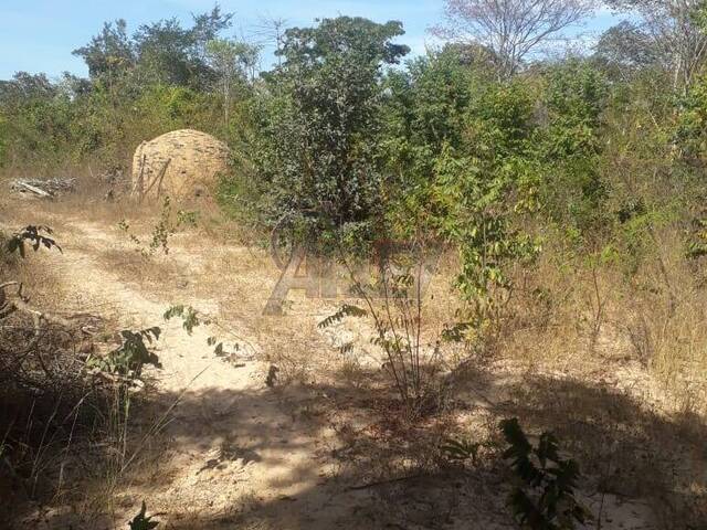 IMÓVEIS RURAIS para Venda em Montes Claros - 4