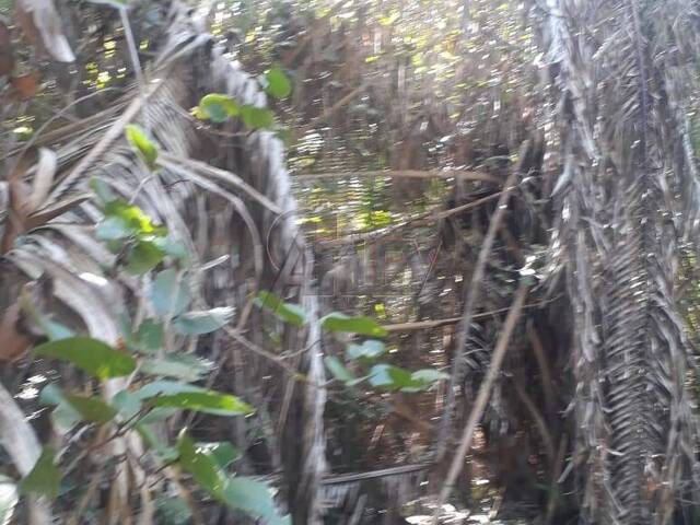 IMÓVEIS RURAIS para Venda em Montes Claros - 5