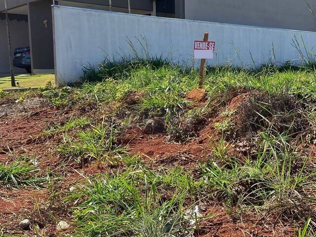 #5543 - Lotes em Condominio para Venda em Montes Claros - MG - 3