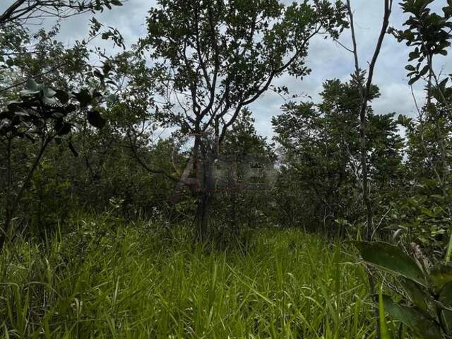 #5737 - Chácara para Venda em Montes Claros - MG - 2