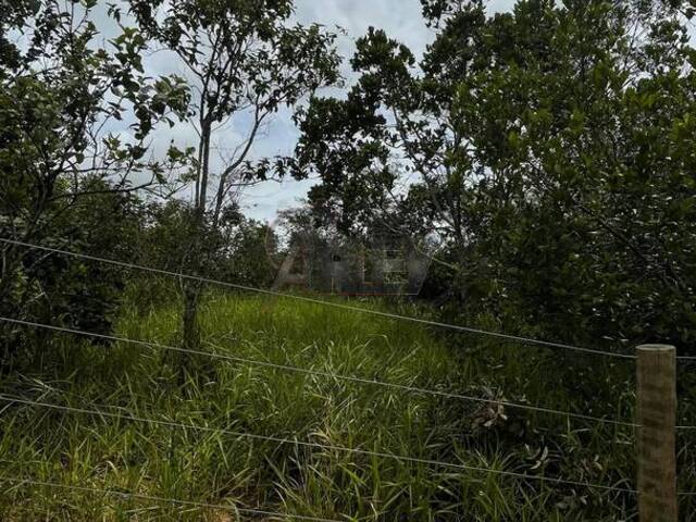 #5737 - Chácara para Venda em Montes Claros - MG - 3