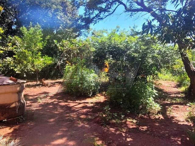 IMÓVEIS RURAIS para Venda em Montes Claros - 4