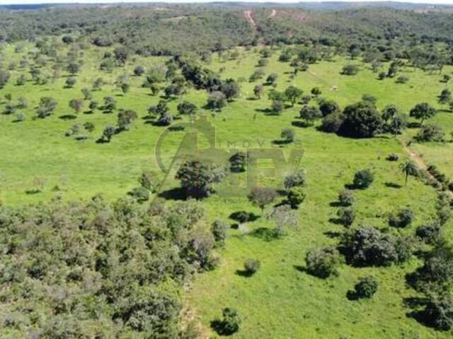 #5867 - IMÓVEIS RURAIS para Venda em Montes Claros - MG - 3