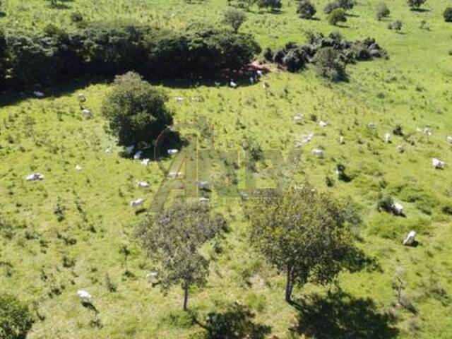 Venda em Área Rural do Norte de Minas - Montes Claros