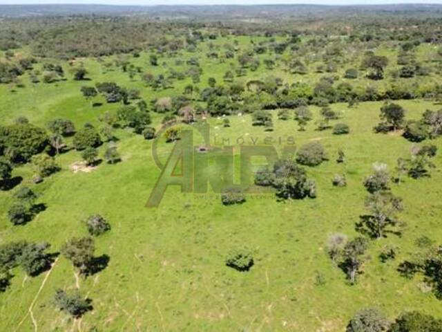IMÓVEIS RURAIS para Venda em Montes Claros - 4