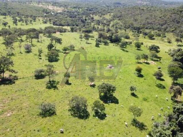 IMÓVEIS RURAIS para Venda em Montes Claros - 5