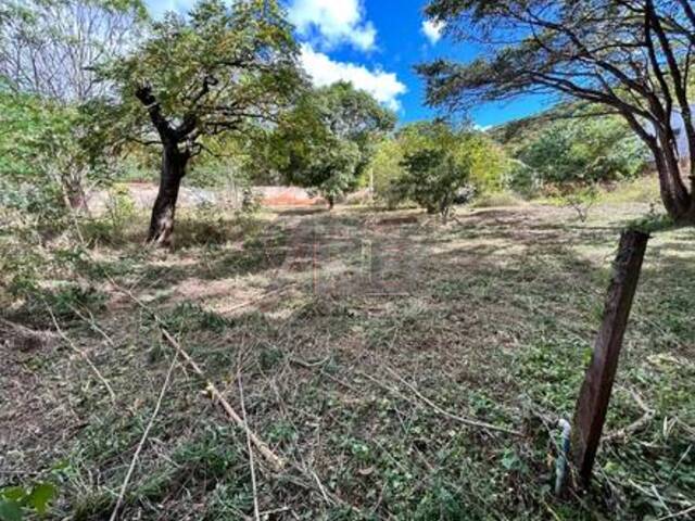 #5887 - IMÓVEIS RURAIS para Venda em Montes Claros - MG - 3
