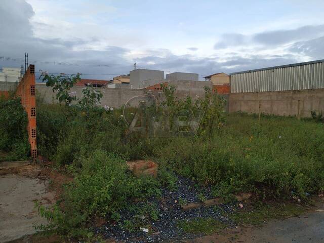 #5956 - LOTES PARTICULAR para Venda em Montes Claros - MG - 2