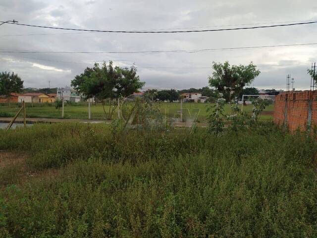 #5956 - LOTES PARTICULAR para Venda em Montes Claros - MG - 3
