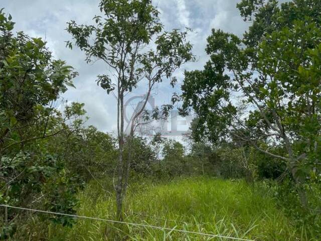 Venda em Área Rural do Norte de Minas - Montes Claros