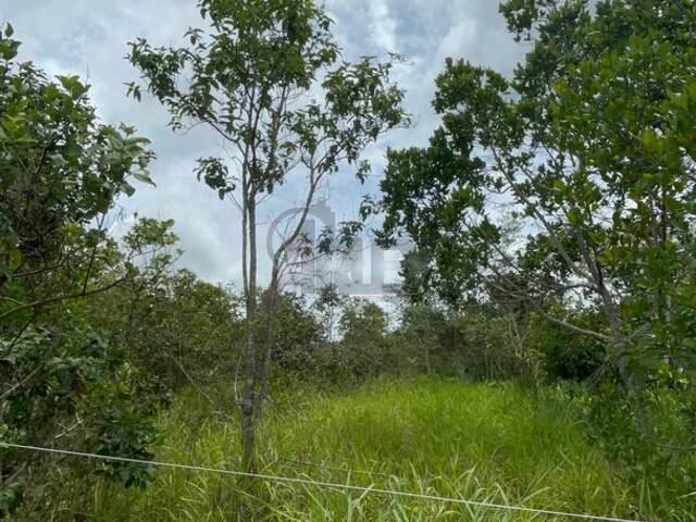#5957 - IMÓVEIS RURAIS para Venda em Montes Claros - MG - 2