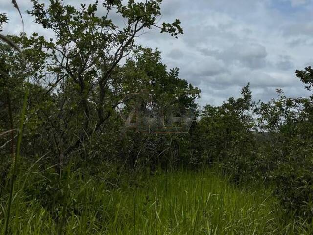 #5957 - IMÓVEIS RURAIS para Venda em Montes Claros - MG - 3