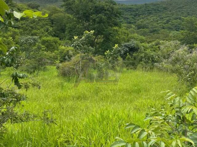 Venda em Área Rural do Norte de Minas - Montes Claros